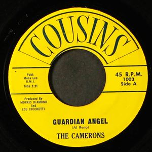 CAMERONS