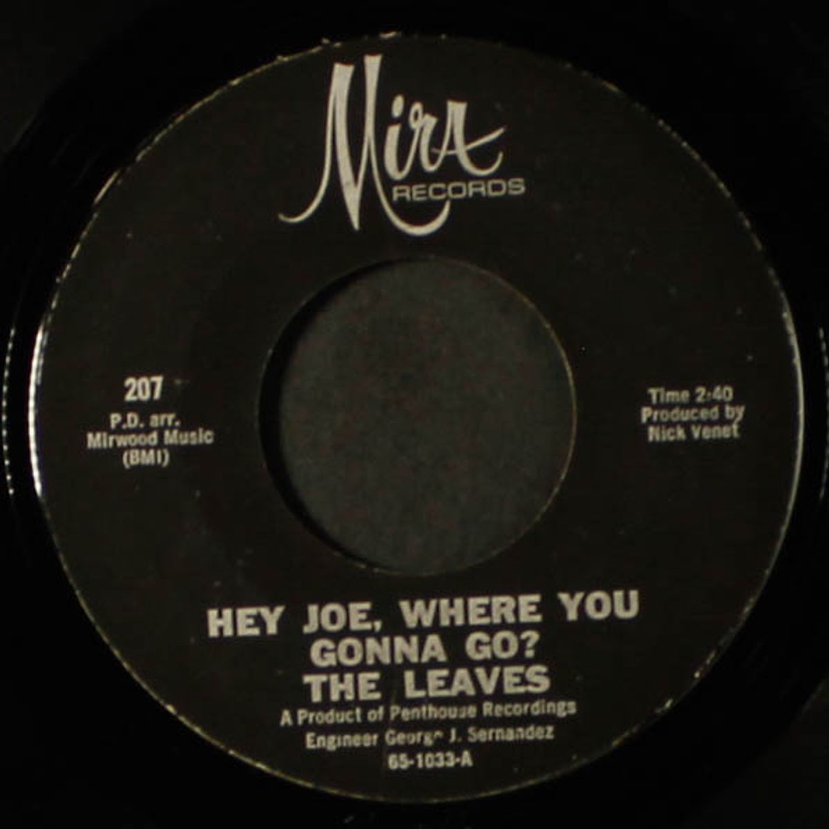 hey joe, where you gonna go? by LEAVES