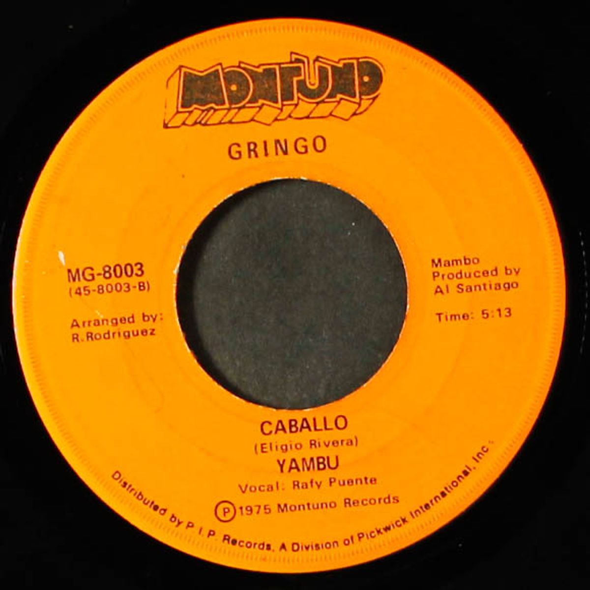 sunny / caballo by YAMBU