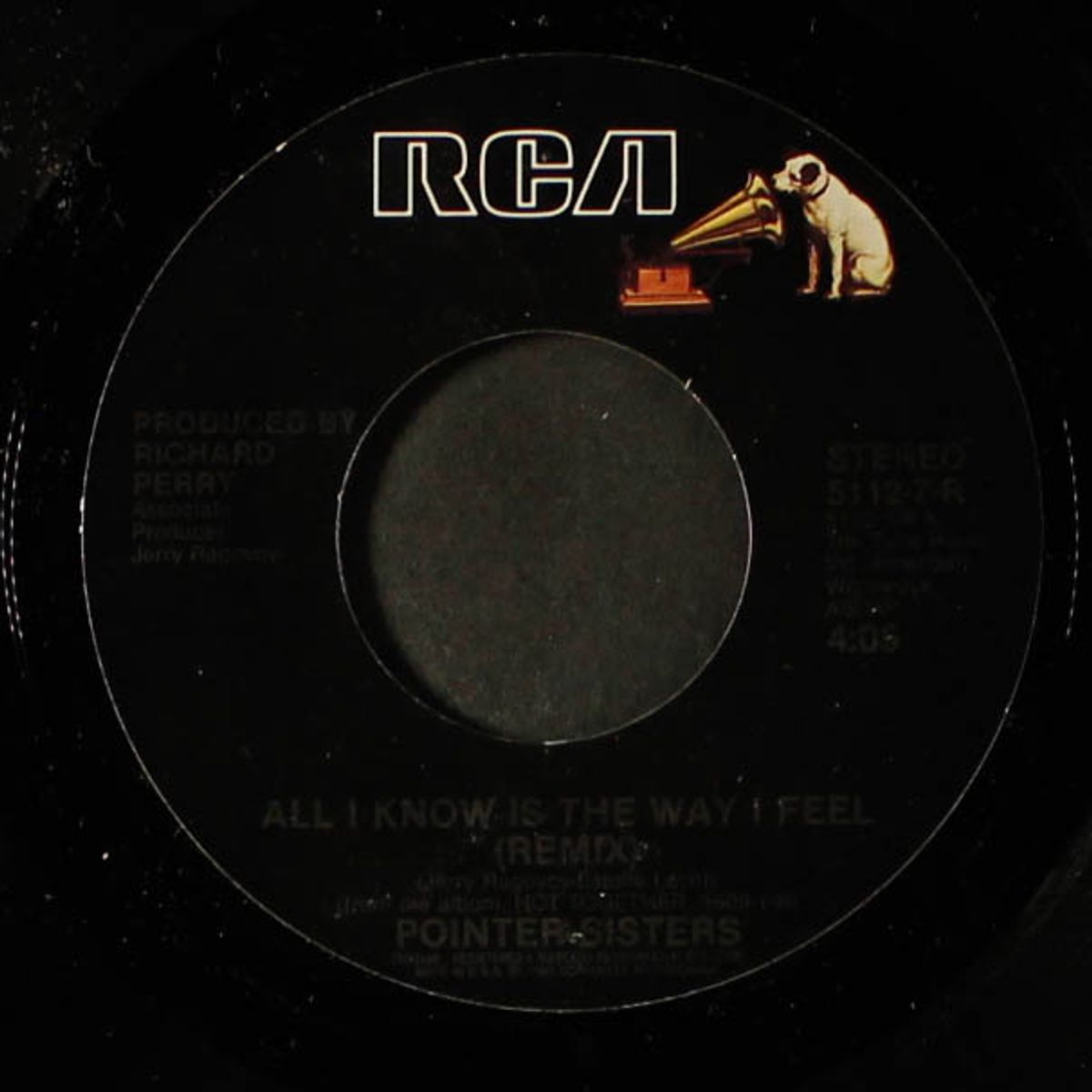 all i know is the way i feel / translation by POINTER SISTERS