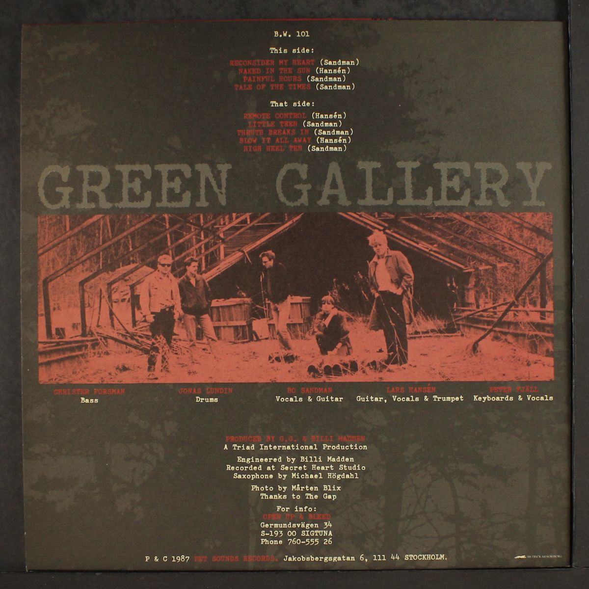 green gallery by GREEN GALLERY
