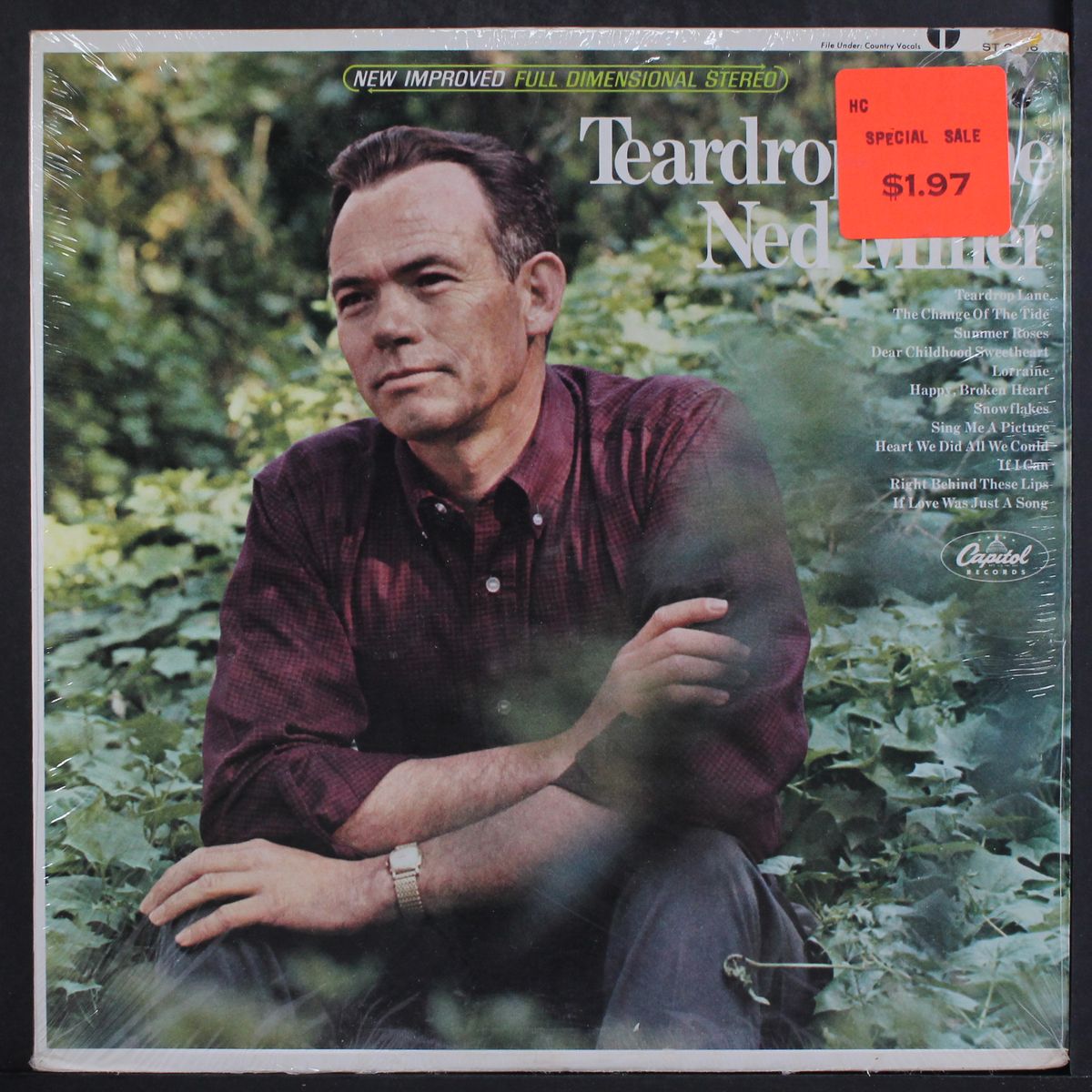teardrop lane by NED MILLER