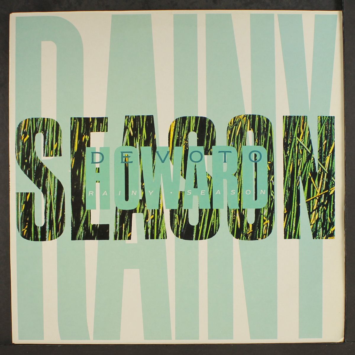 rainy season by HOWARD DEVOTO