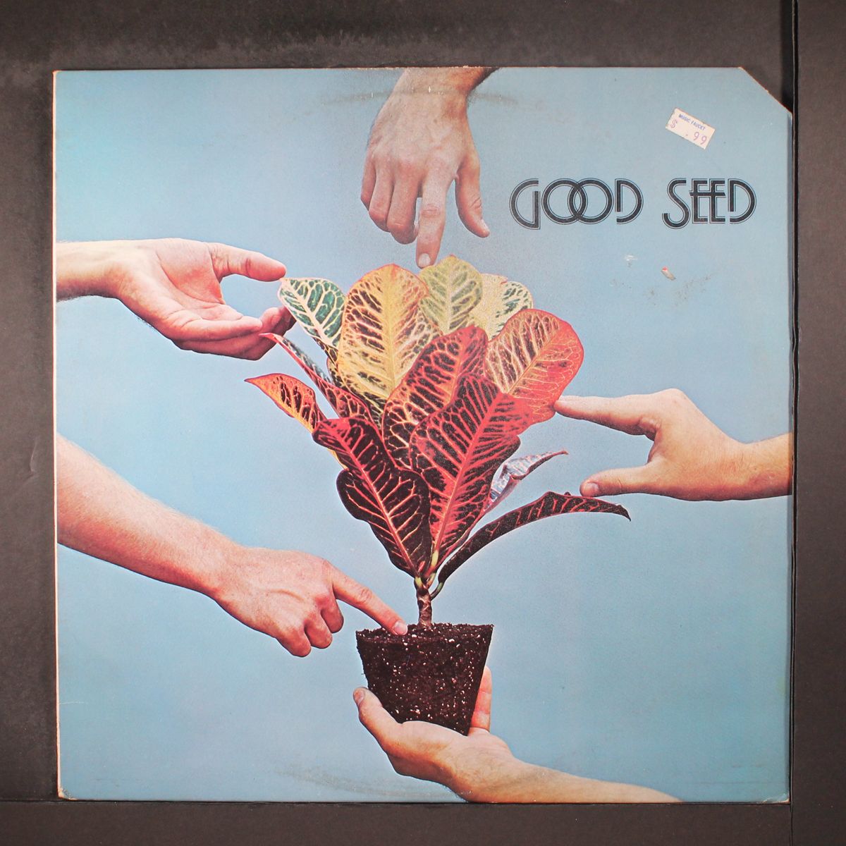 good seed by GOOD SEED