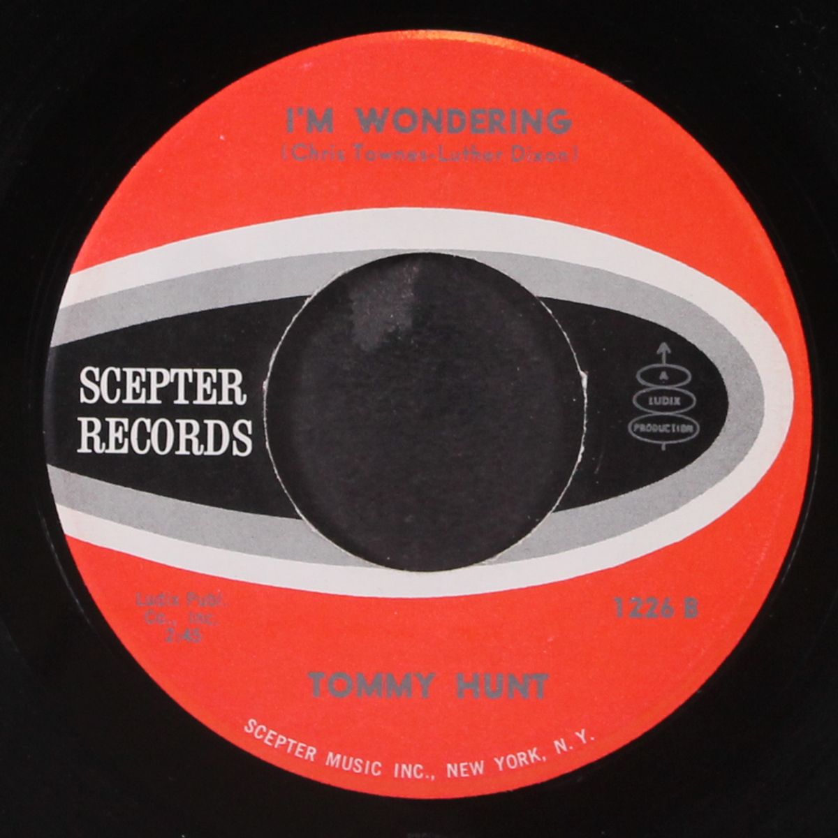 the door is open / i'm wondering by TOMMY HUNT
