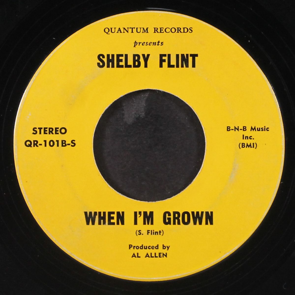 i'm not a girl anymore / when i'm grown by SHELBY FLINT