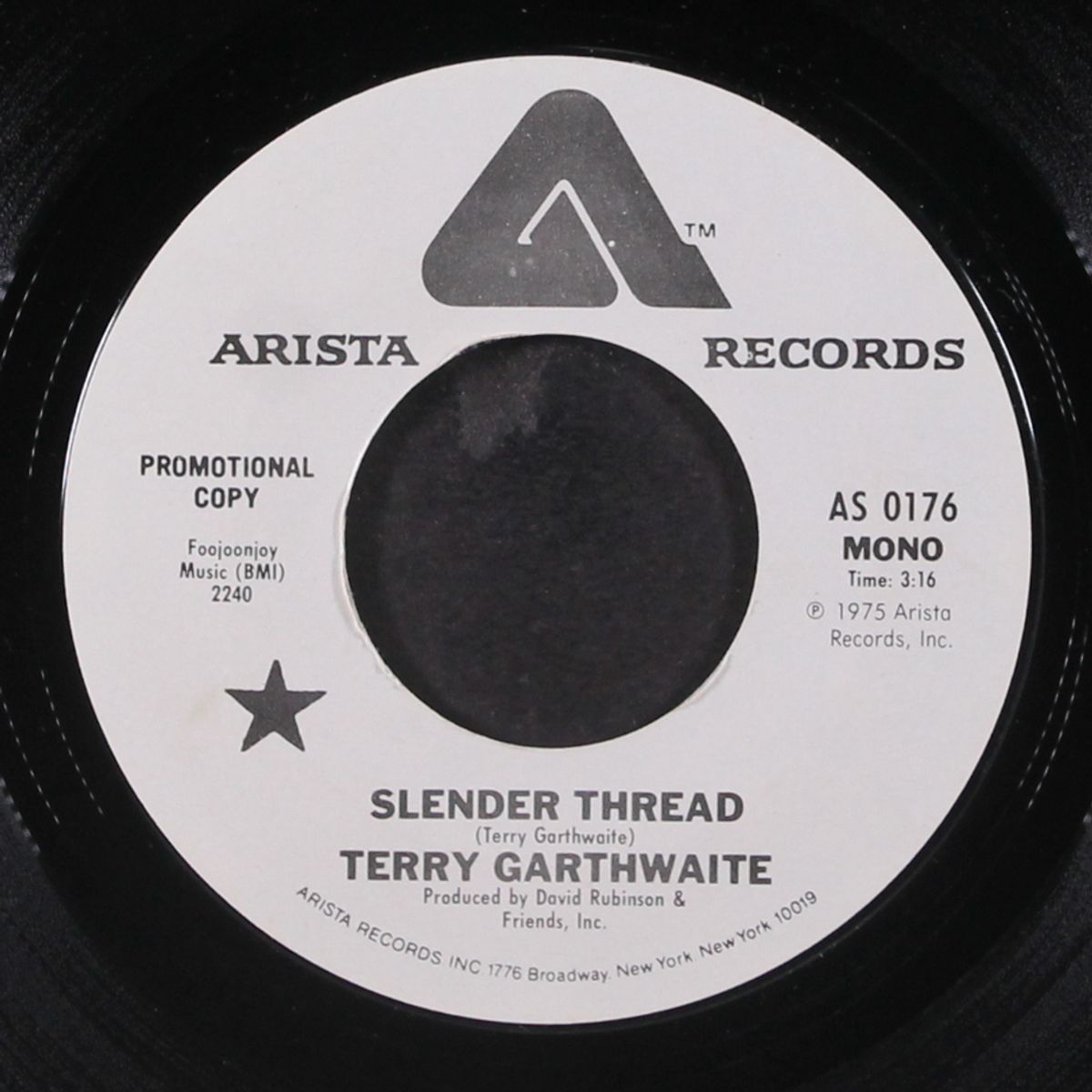 slender thread / mono by TERRY GARTHWAITE