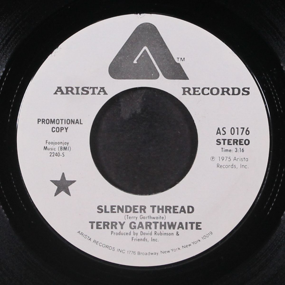 slender thread / mono by TERRY GARTHWAITE