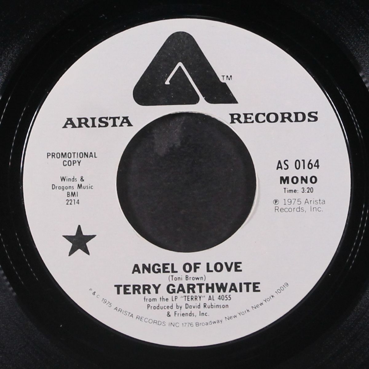 angel of love / mono by TERRY GARTHWAITE
