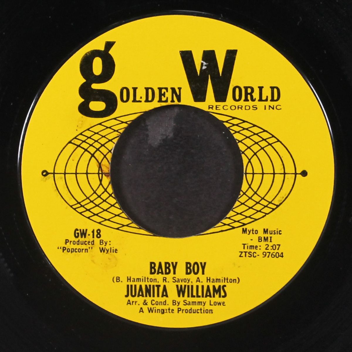 baby boy / you knew what you was gettin' by JUANITA WILLIAMS