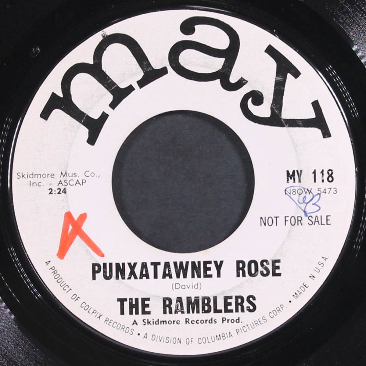 another door opens / punxatawney rose by RAMBLERS