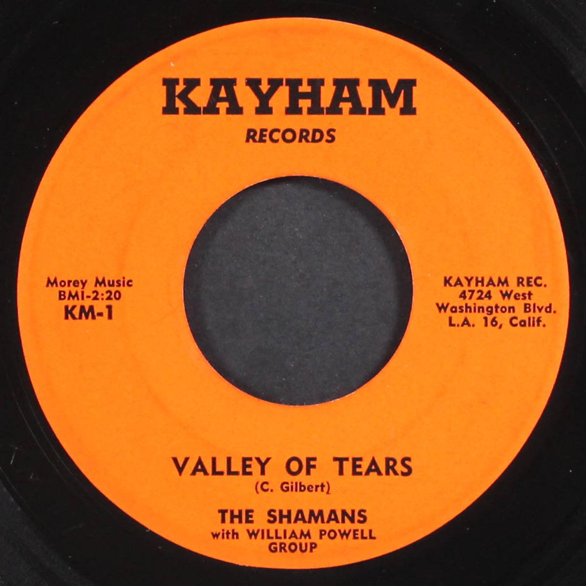 valley of tears / shubby dubby doo by SHAMANS