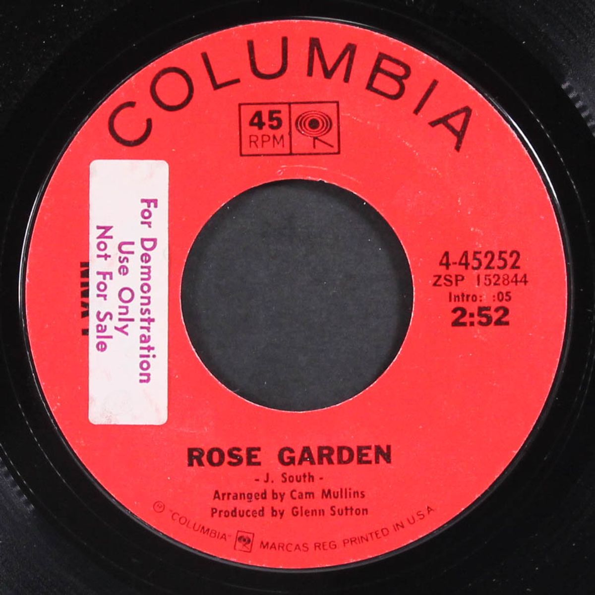 rose garden by LYNN ANDERSON