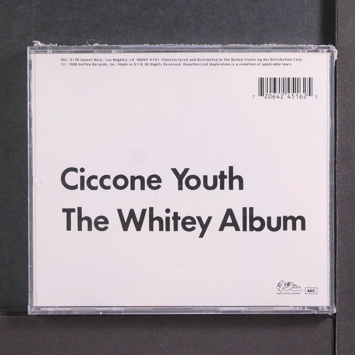 the whitey album by CICCONE YOUTH