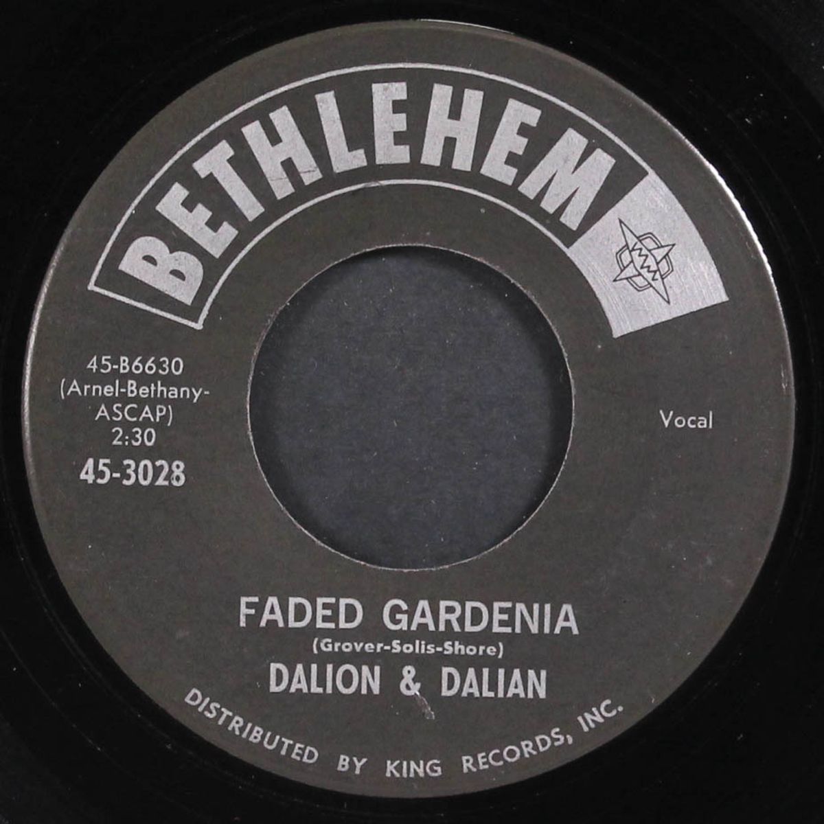 lonely girl, lonely boy / faded gardenia by DALION & DALIAN