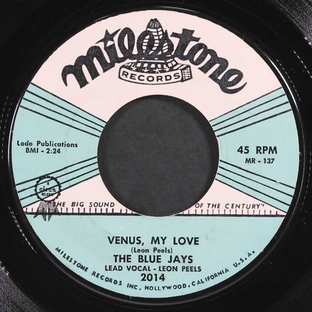 venus, my love / tall len by BLUE JAYS