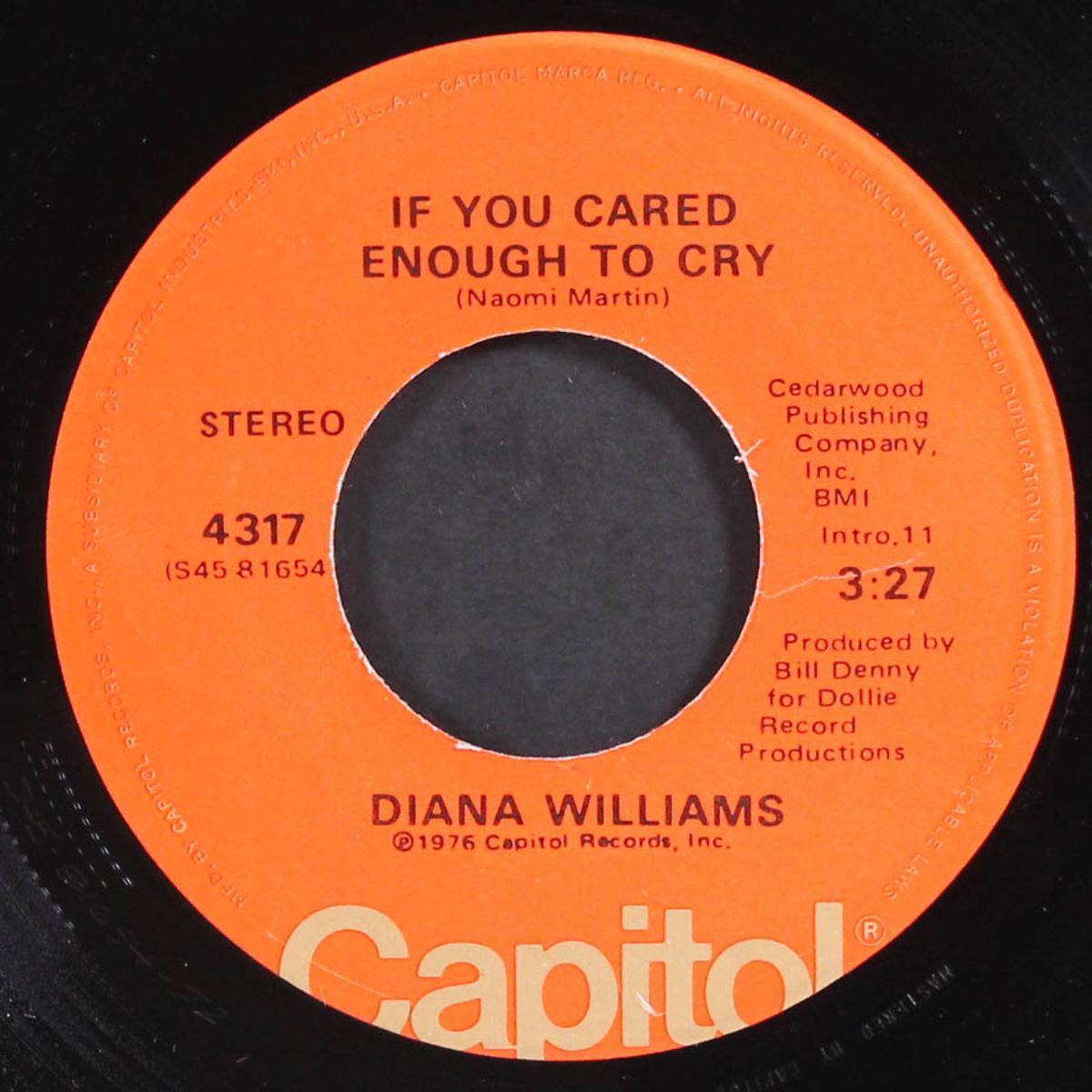 teddy bear's last ride / if you cared enough to cry by DIANA WILLIAMS