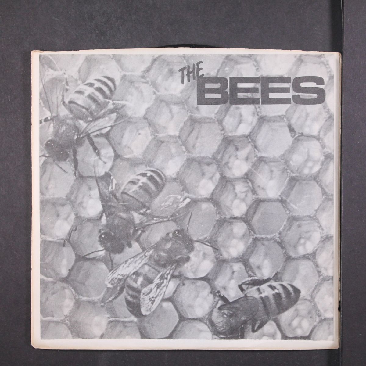 mystery date + 3 by BEES