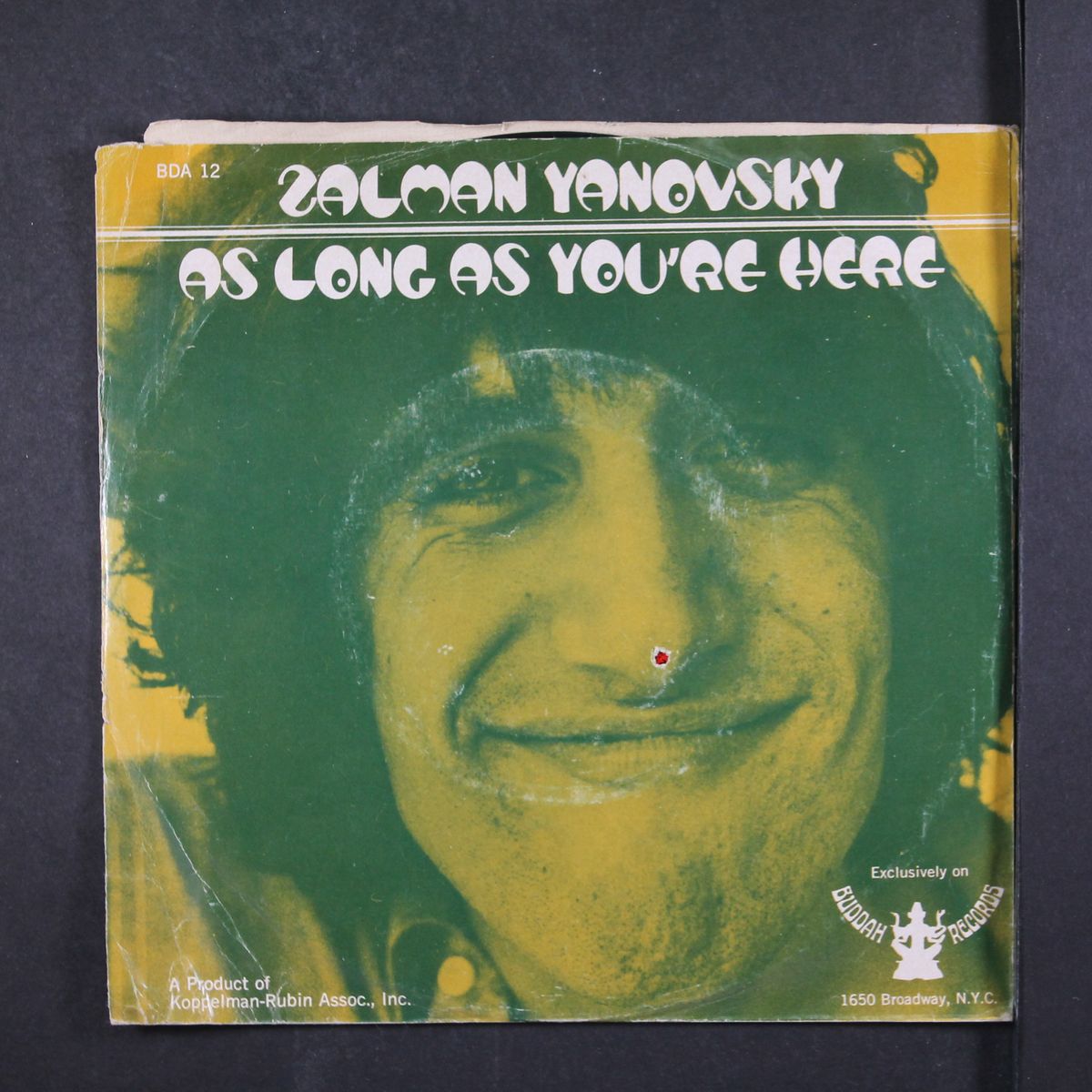 as long as you're here / ereh er'ouy sa gnol sa by ZALMAN YANOVSKY