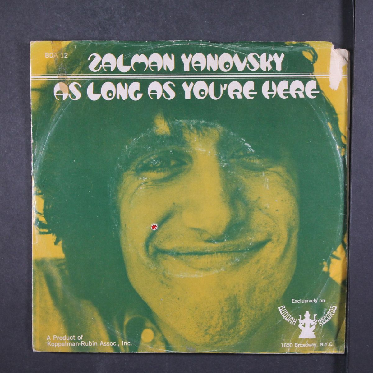 as long as you're here / ereh er'ouy sa gnol sa by ZALMAN YANOVSKY