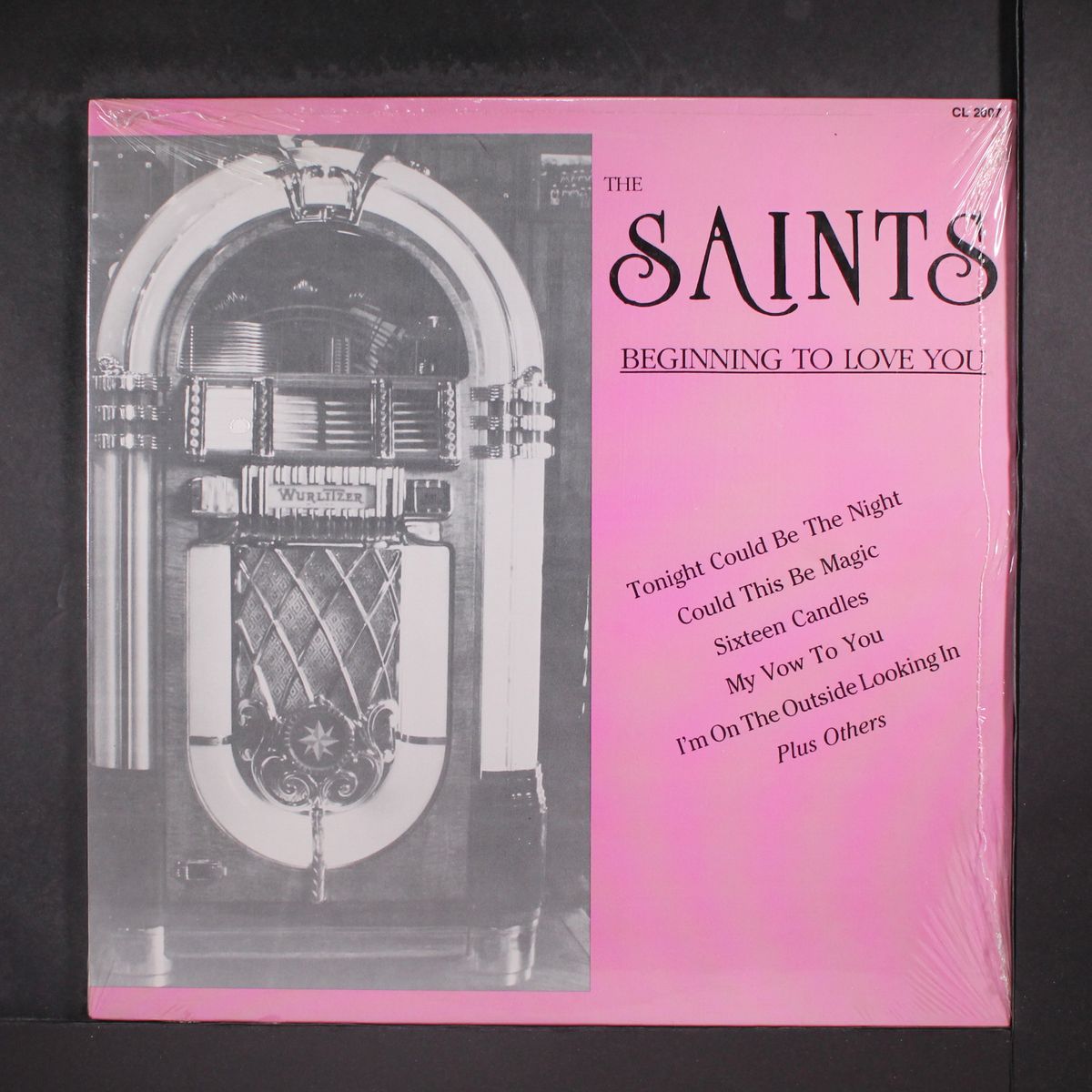 beginning to love you by SAINTS