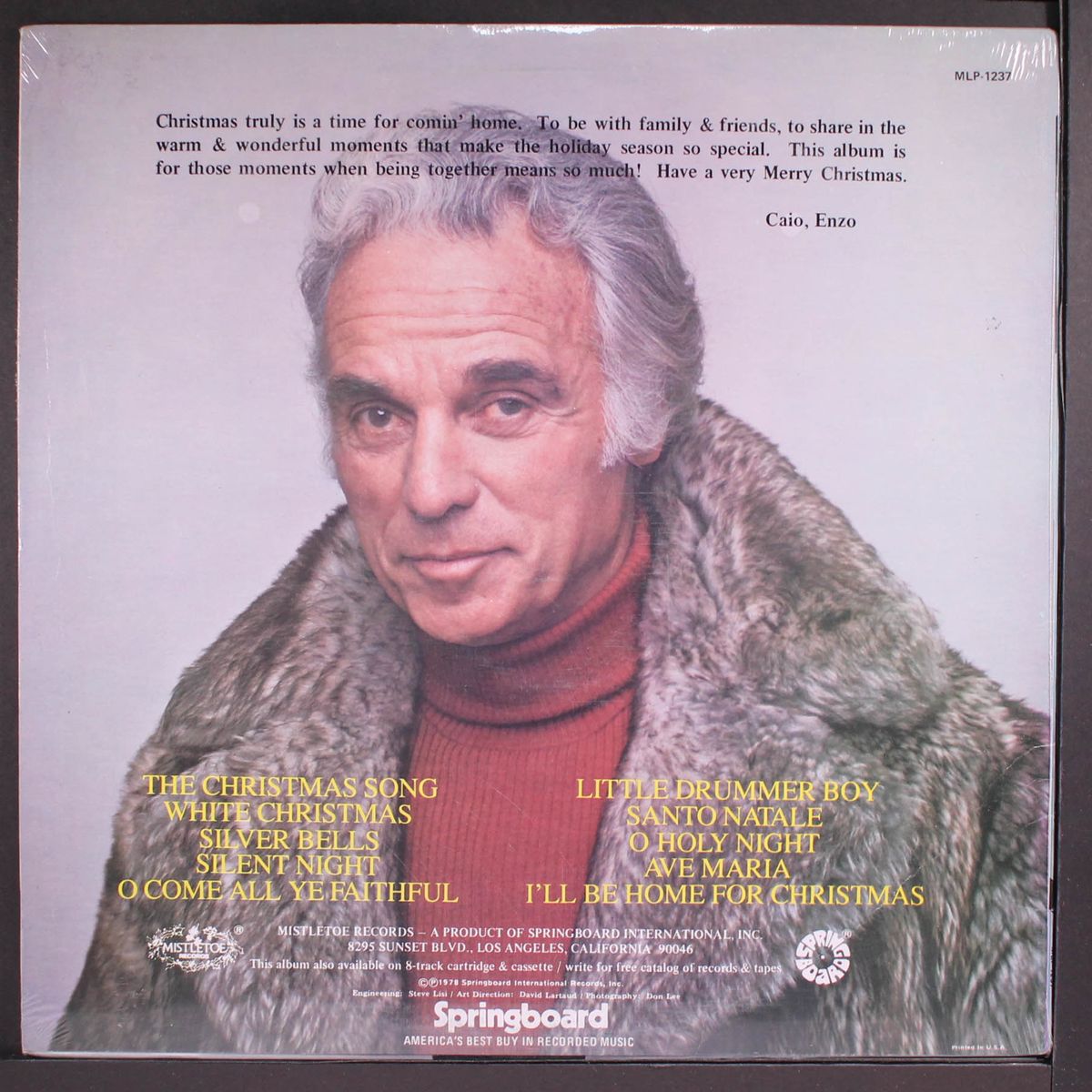 comin' home for christmas by ENZO STUARTI