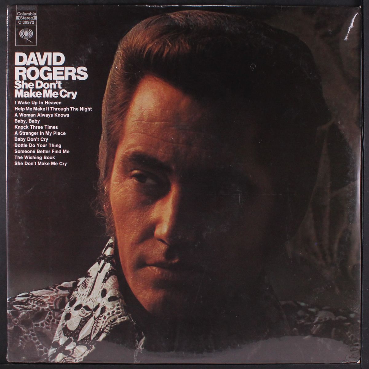 she don't make me cry by DAVID ROGERS