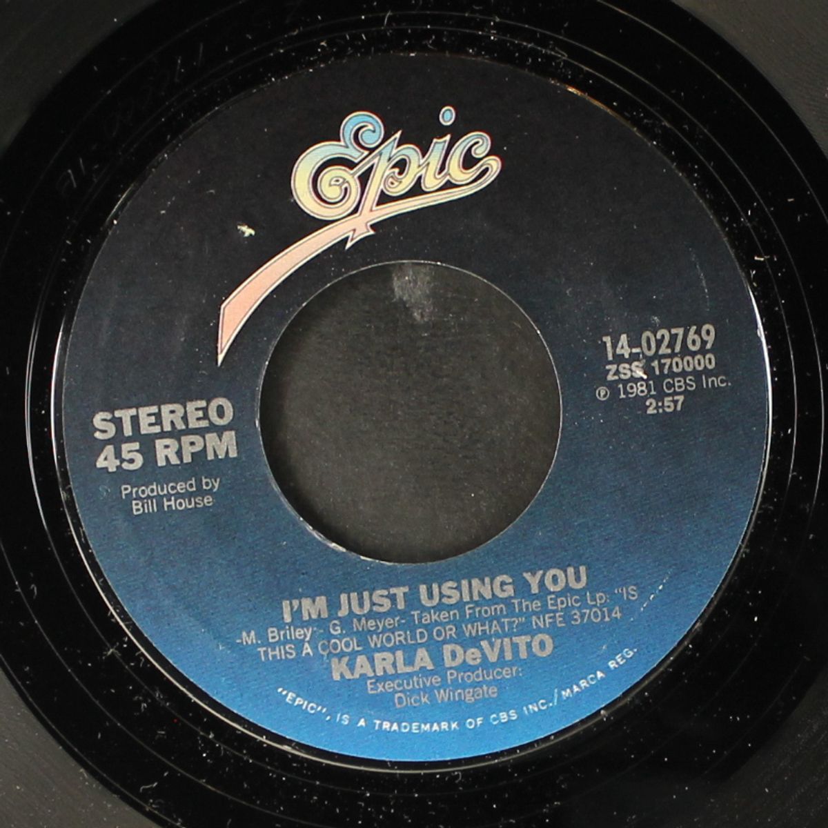 just like you by KARLA DEVITO