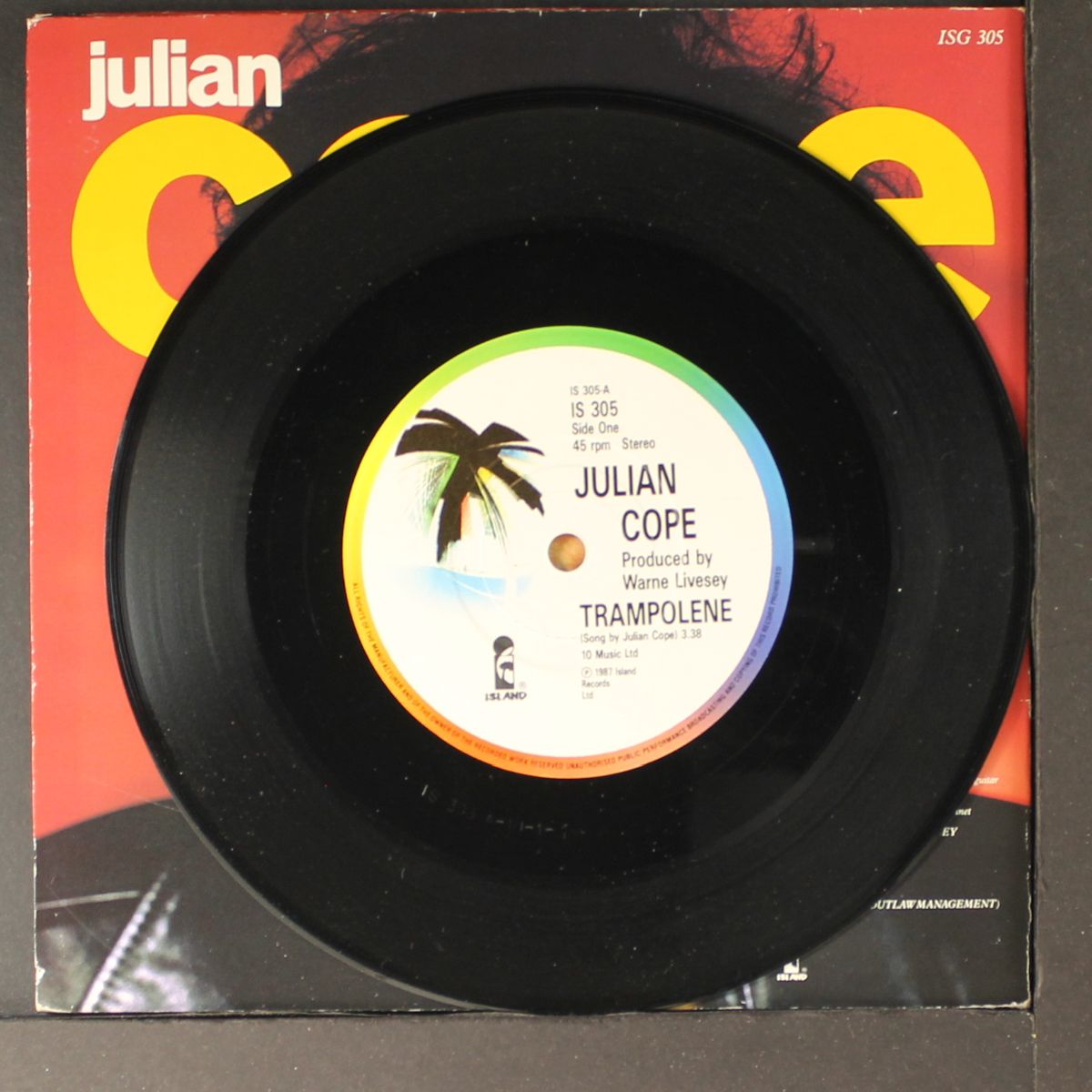 trampolene by JULIAN COPE