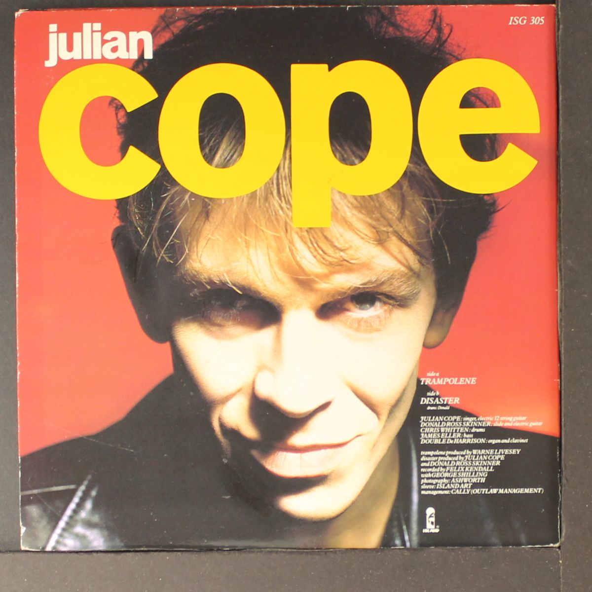 trampolene by JULIAN COPE