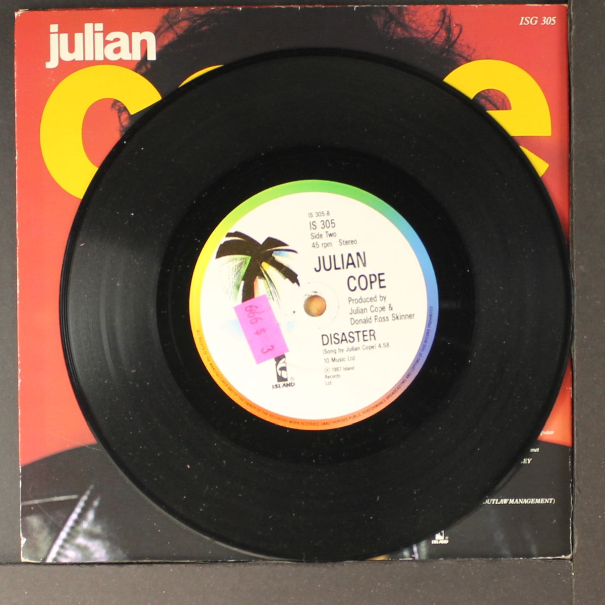 trampolene by JULIAN COPE