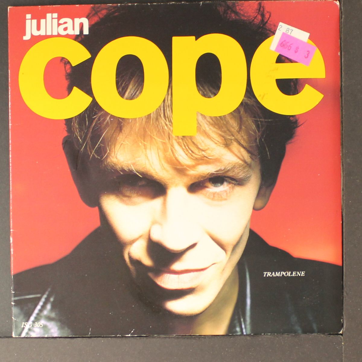 trampolene by JULIAN COPE