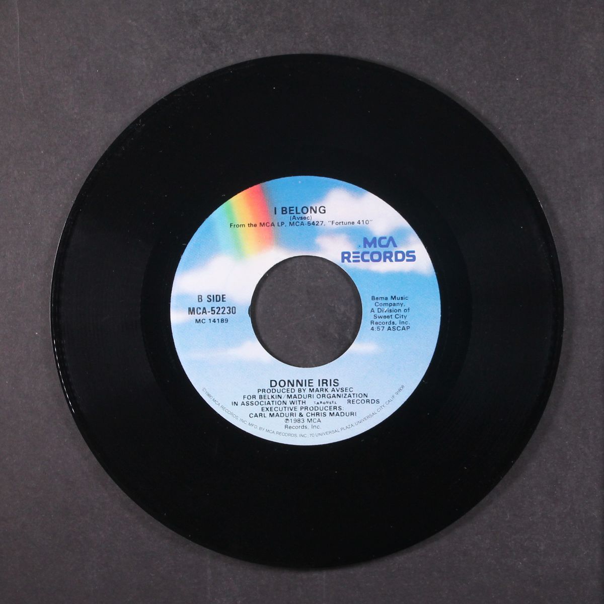 do you compute / i belong by DONNIE IRIS
