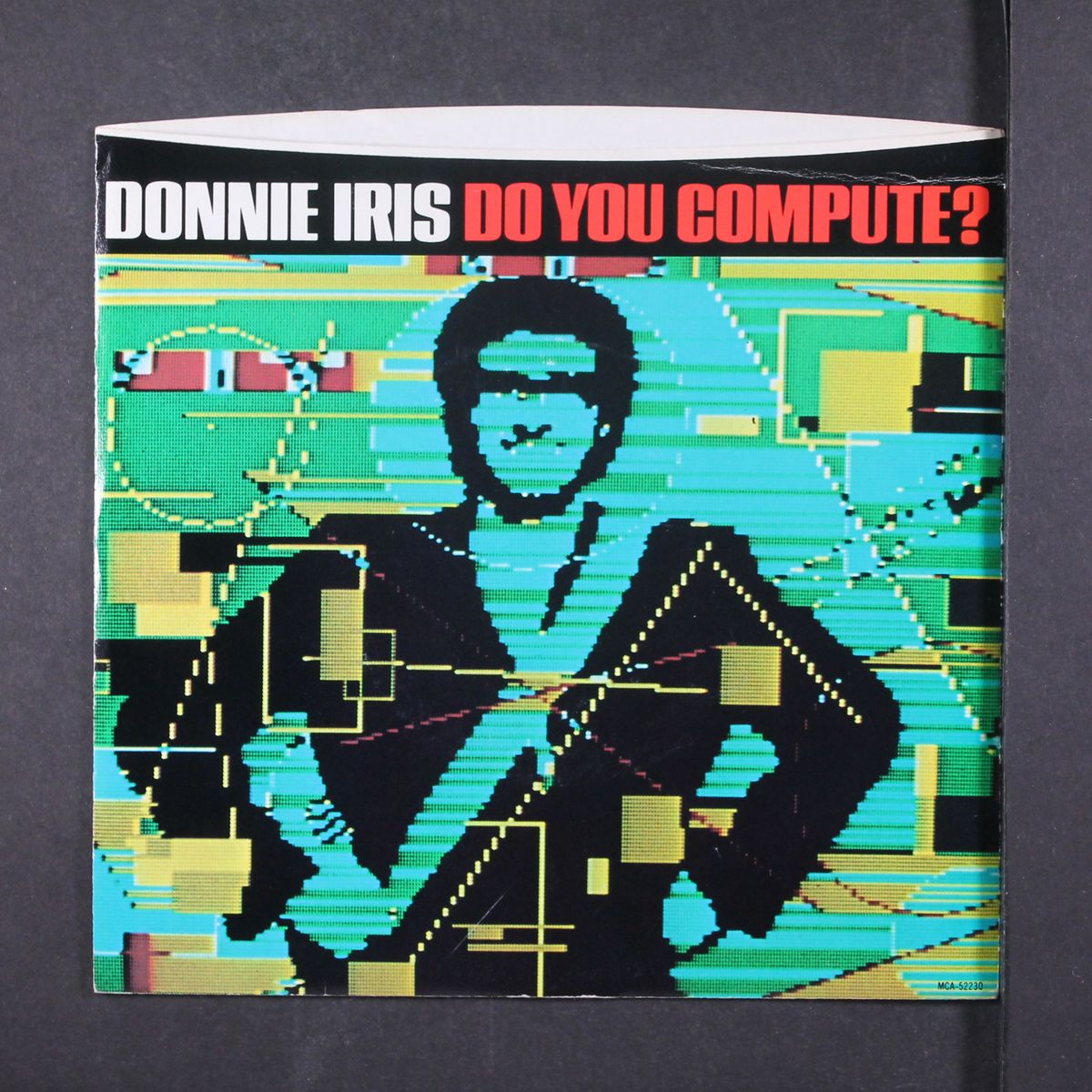 do you compute / i belong by DONNIE IRIS
