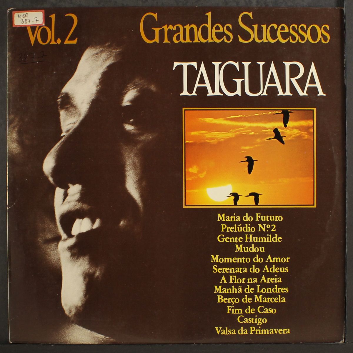 grandes sucessos vol. 2 by TAIGUARA