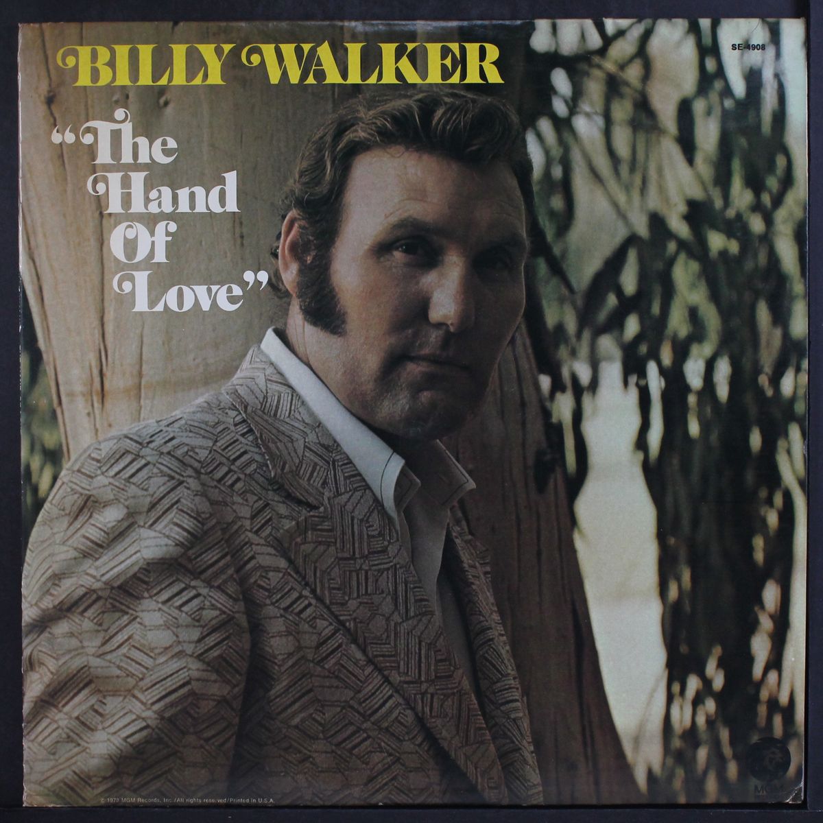 the hand of love by BILLY WALKER