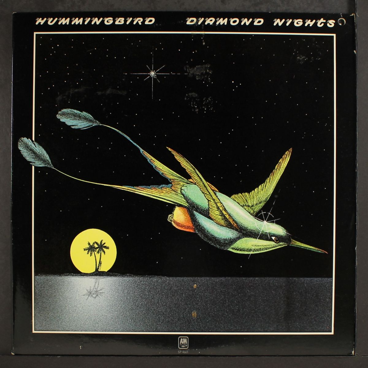 diamond nights by HUMMINGBIRD