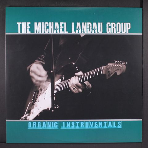 MICHAEL LANDAU GROUP
