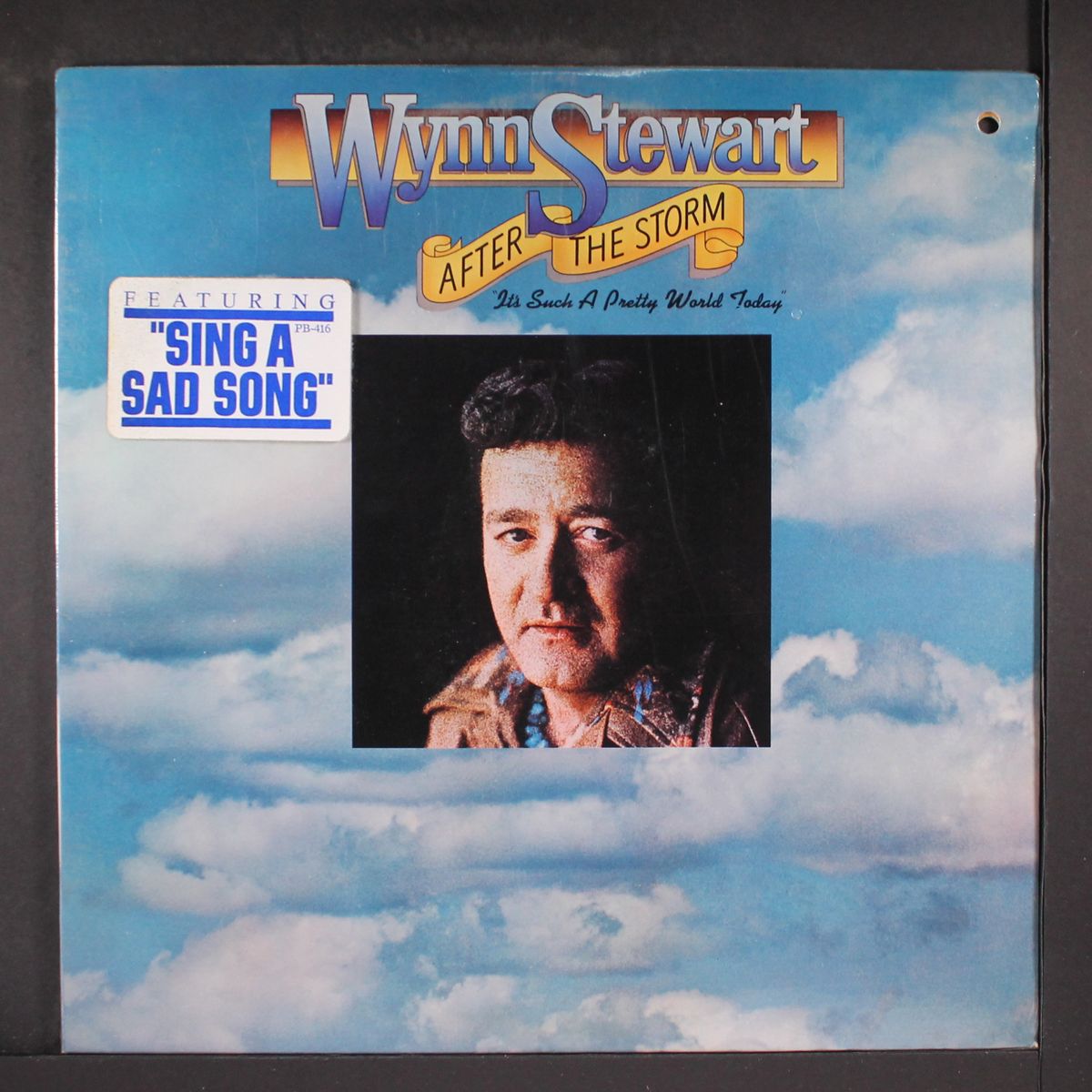 after the storm by WYNN STEWART