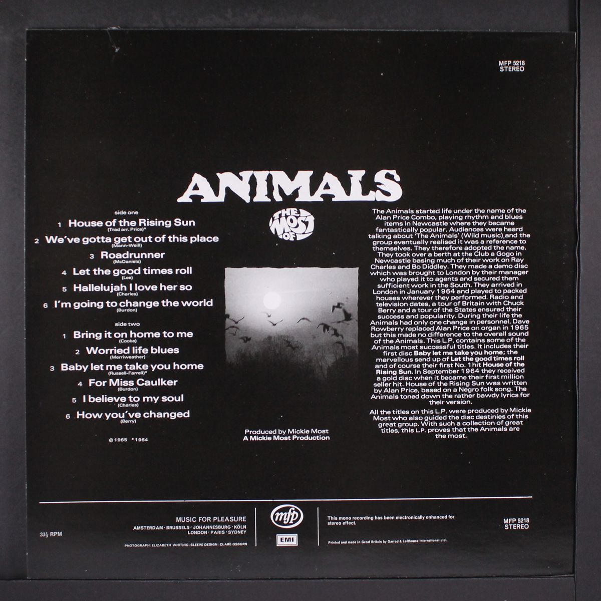 the most of the animals by ANIMALS