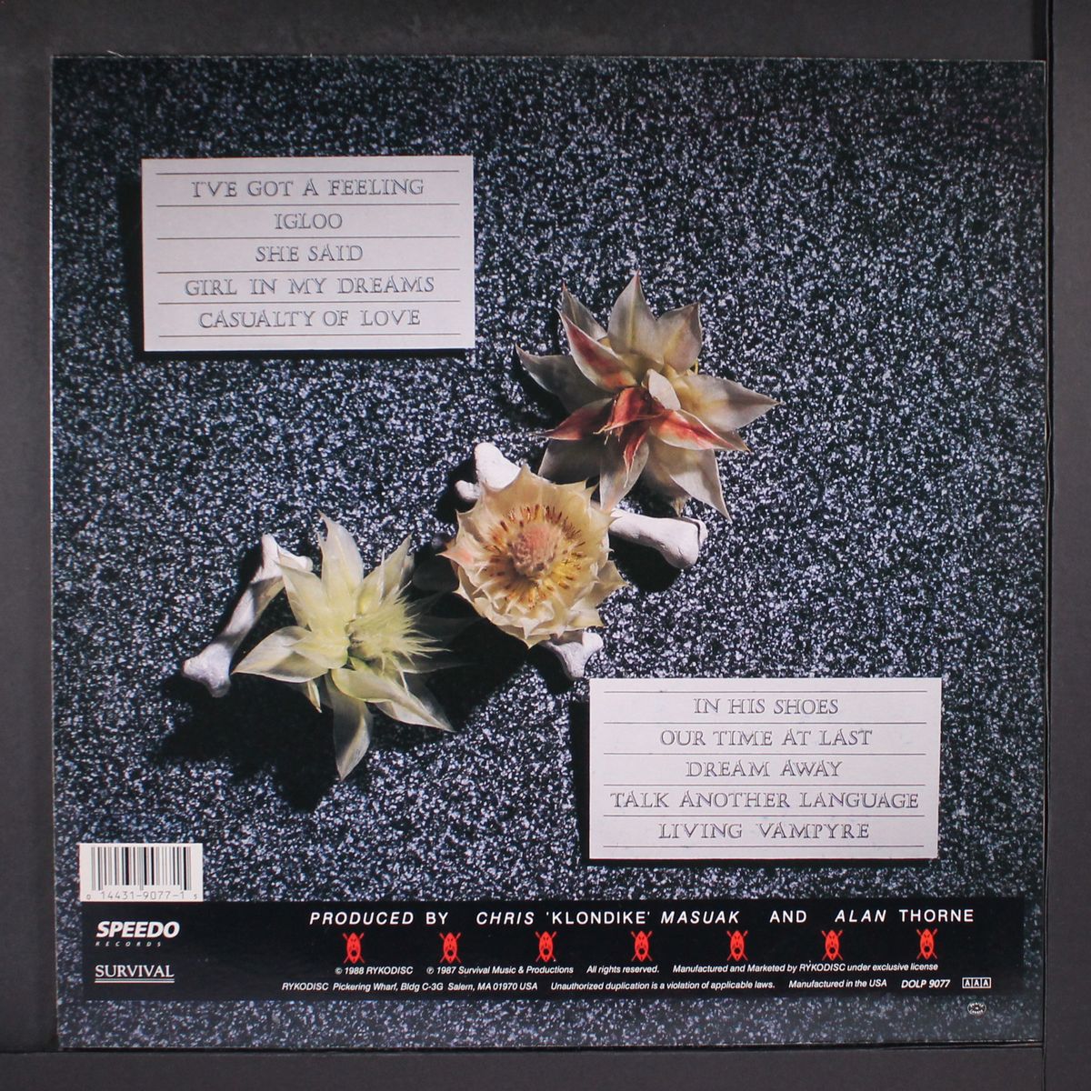bones + flowers by SCREAMING TRIBESMEN