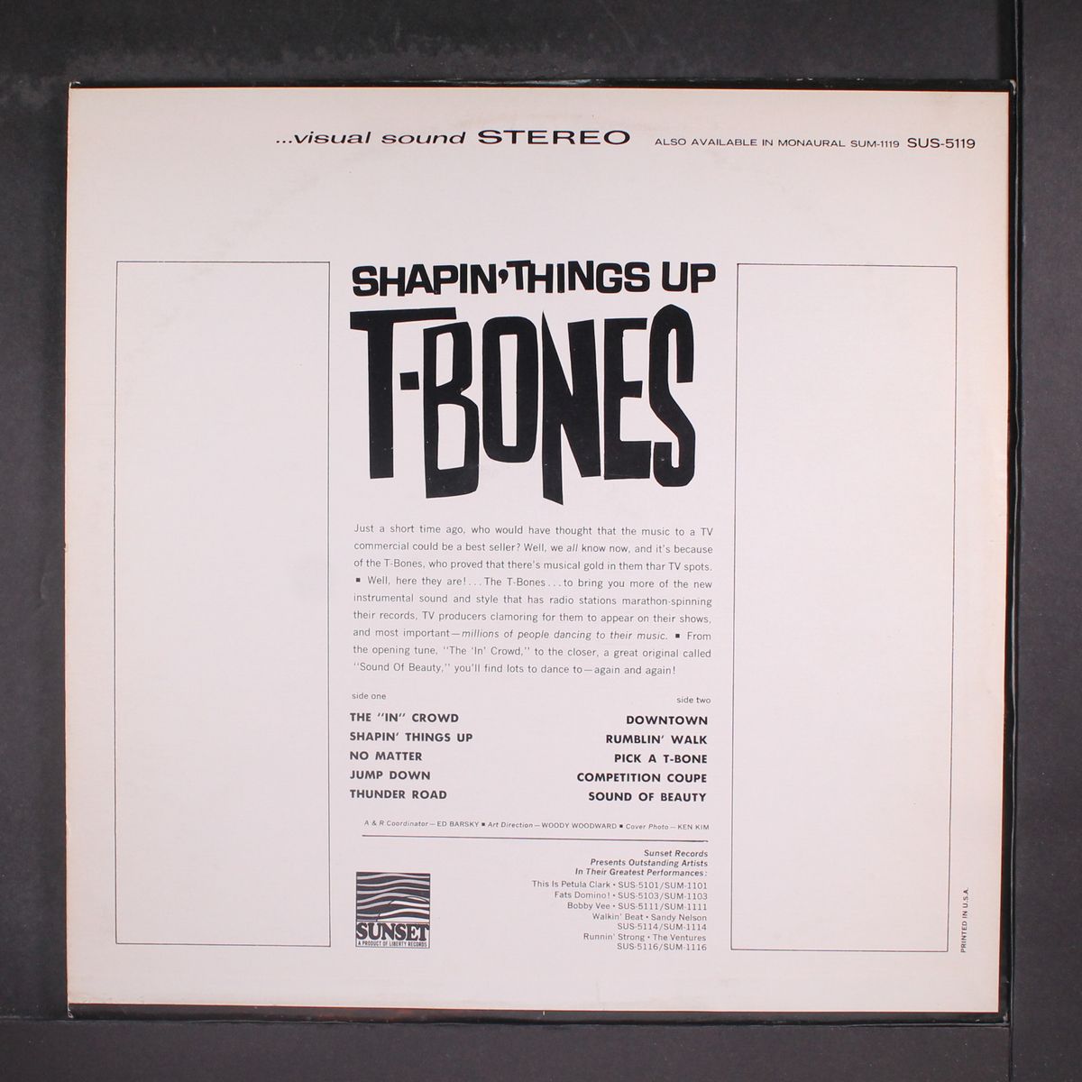 shapin' things up by T-BONES