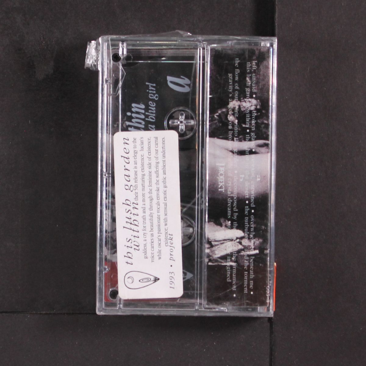 thish lush garden within by BLACK TAPE FOR A BLUE GIRL