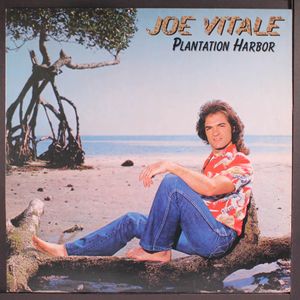 JOE VITALE