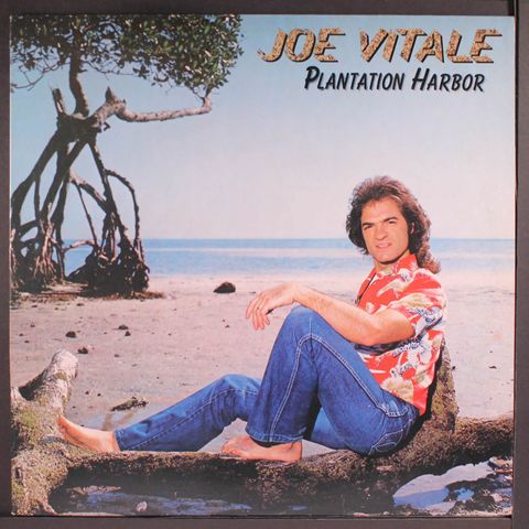 JOE VITALE