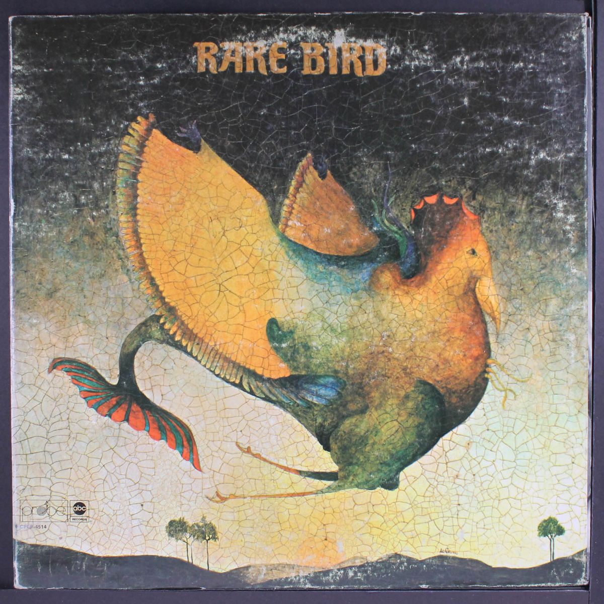 rare bird by RARE BIRD