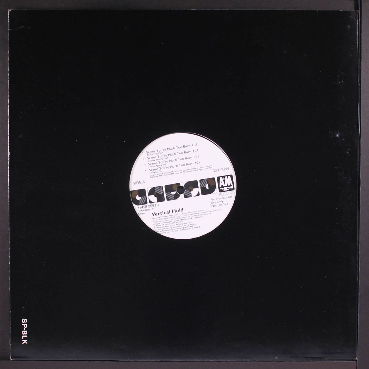 seems you're much too busy (9 mixes) by VERTICAL HOLD