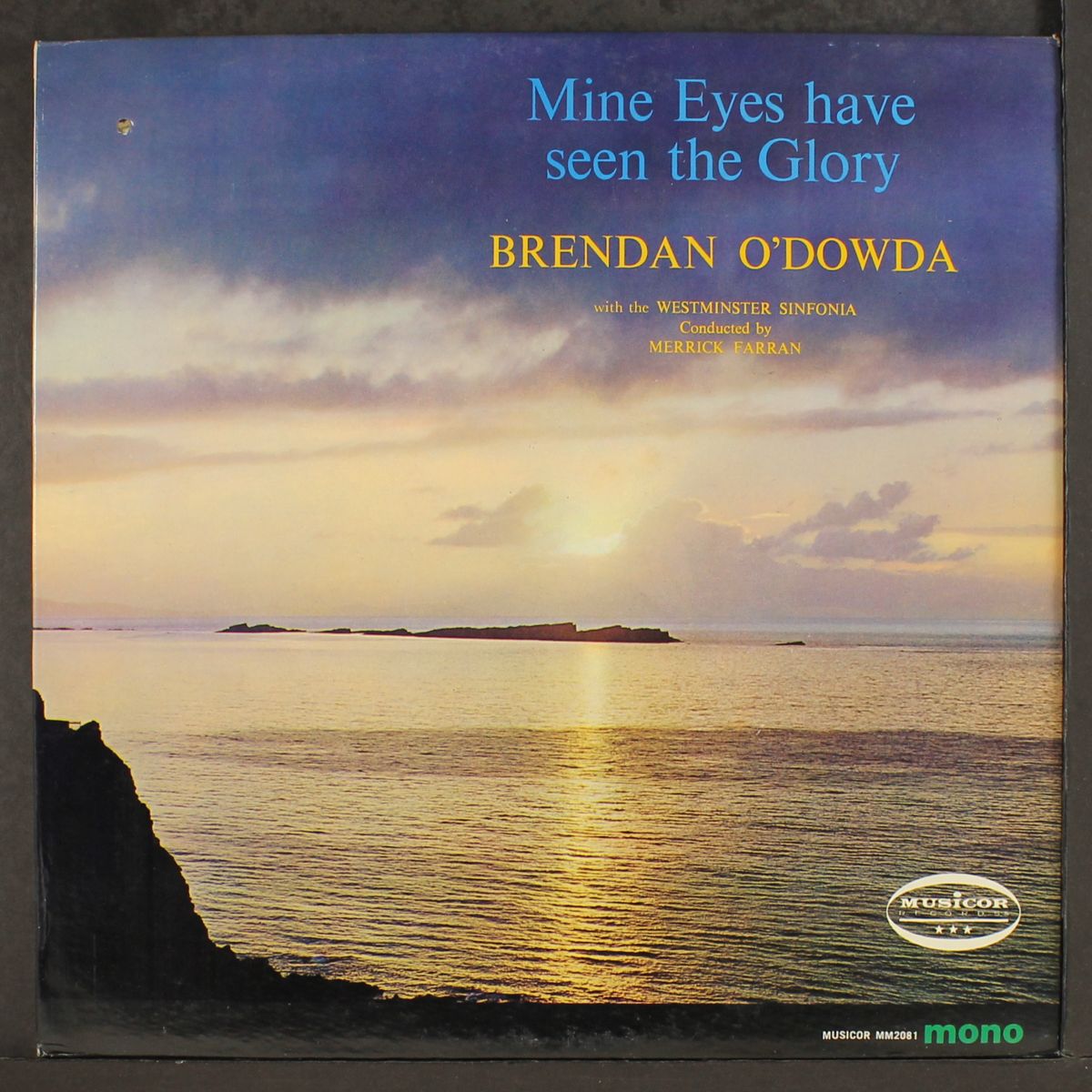 mine eyes have seen the glory by BRENDAN O'DOWDA