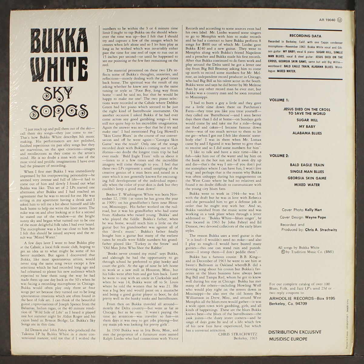 sky songs, vol. 2 by BUKKA WHITE