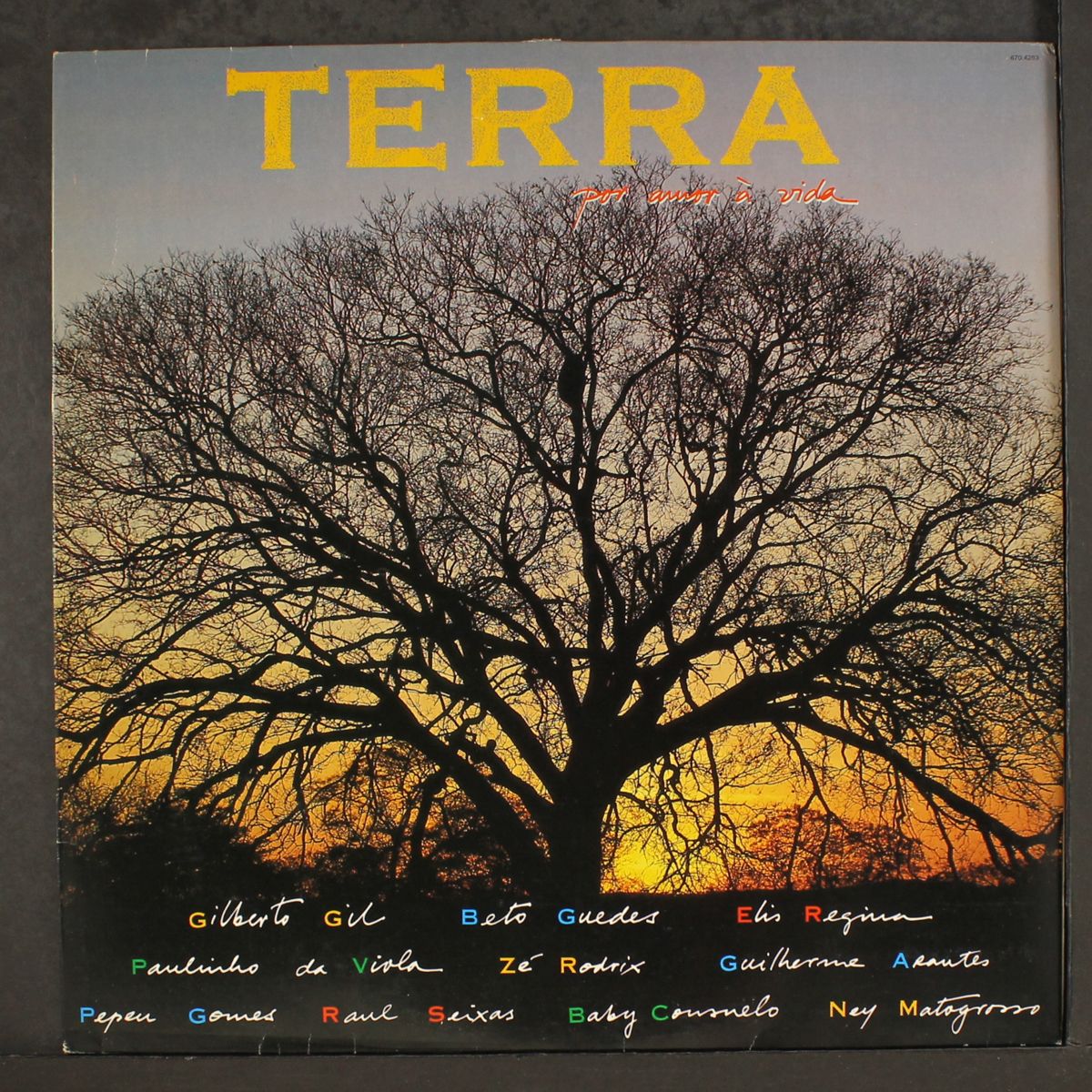 terra . . . por amor a vida by VARIOUS